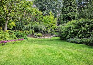 Optimiser l'expérience du jardin à Lavans-Quingey